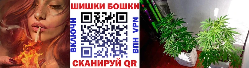 Наркошоп купить Бошки Шишки Меф ГАШ Беломорск