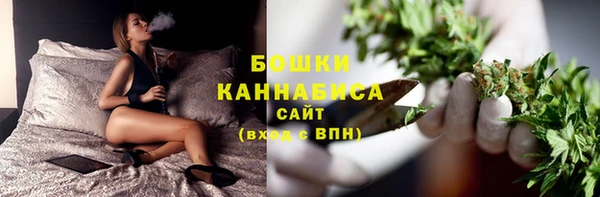 PSILOCYBIN Кулебаки