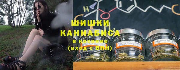 PSILOCYBIN Кулебаки