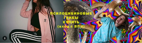 Альфа ПВП Краснослободск