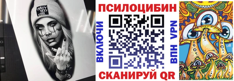Купить где  Беломорск  Галлюциногенные грибы Cubensis 